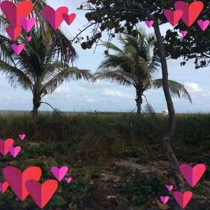 Meet your Posher, Annie